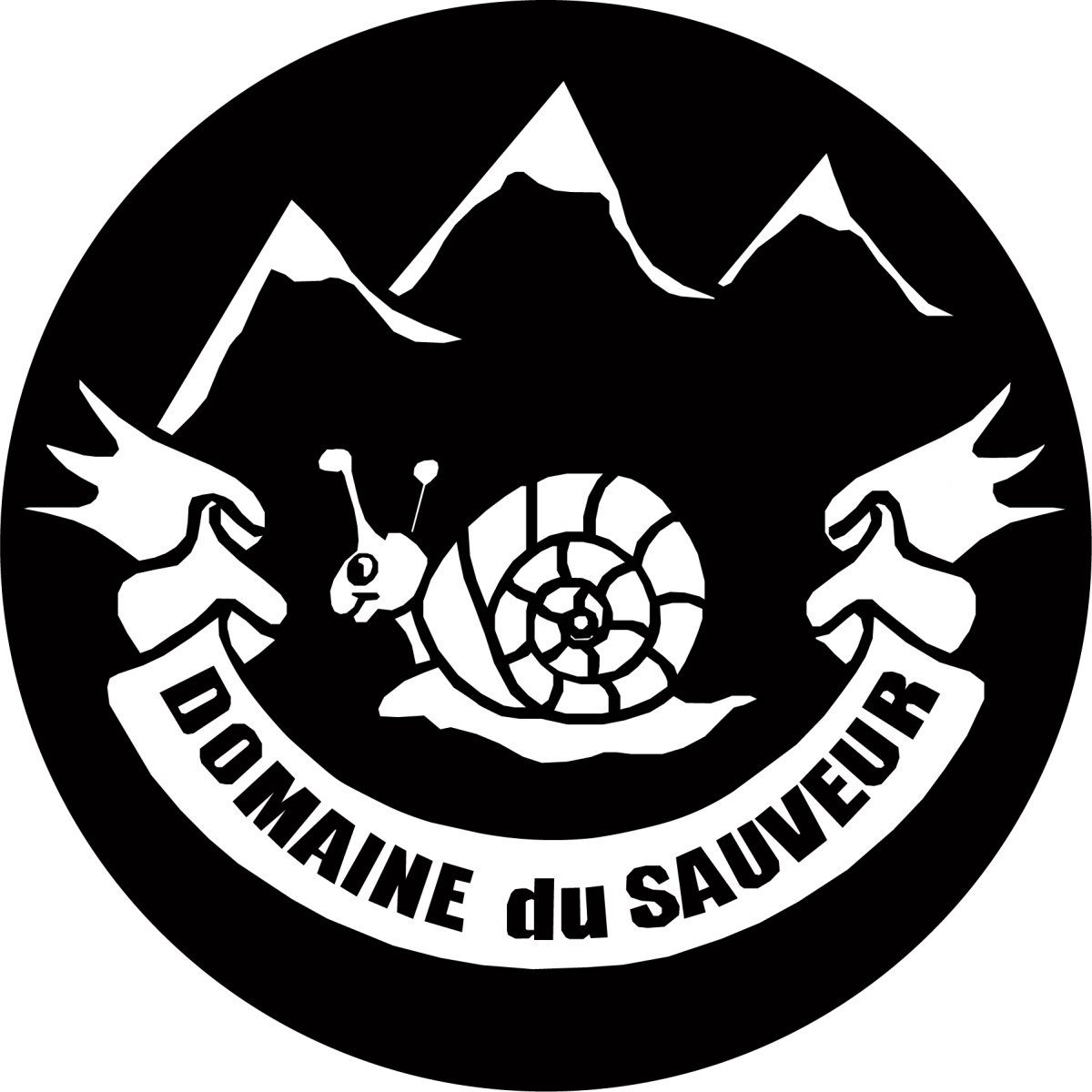 Location chalets et appartements Luz Saint Sauveur - Hautes-Pyrénées Domaine du sauveur