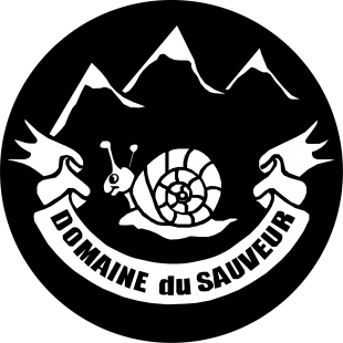 Location chalets et appartements Luz Saint Sauveur - Hautes-Pyrénées Domaine du sauveur